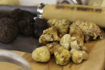 black and white truffle mushroom on the market