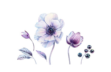 Watercolor white anemones with black pearl inside set. Hand-painted realistic botanical illustrations bundle. isolated on white flowers, leaves, berries for wedding stationery, card printing, banners