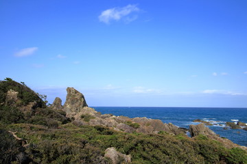 Fototapeta na wymiar 室戸ジオパークのエボシ岩（高知県）