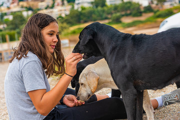 girl feeds stray dogs on a greece beach