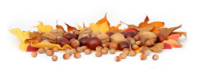 Nuts, hazelnuts, sweet chestnuts with automn leaves border isolated on white  background.