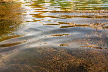 flowing clear water in a river in the forest