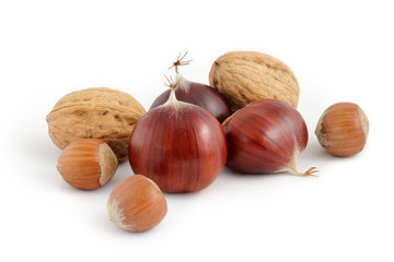 Nuts, sweet chestnuts and hazelnuts isolated on white background.