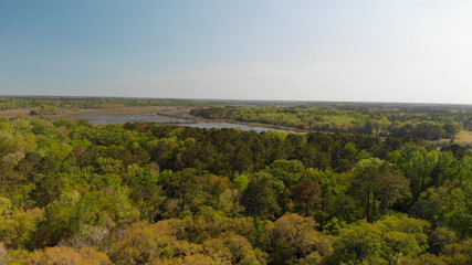 Obraz premium South Carolina Countryside and Forest. Aerial view of trees