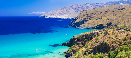 Fototapeta na wymiar amazing Greece series - beaches of Andros island, Cyclades