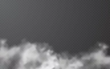 Meubelstickers Fog or smoke on transparent background. Vector illustration © Oleh
