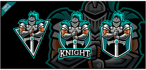 Vector logo. Knight with sword on three background variation.