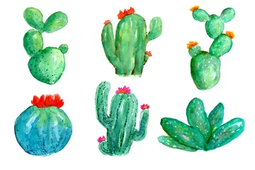 Vitrage gordijnen Cactus Sappige cactus plant set aquarel handgeschilderde element voor wenskaart, uitnodigingen of uw ontwerp