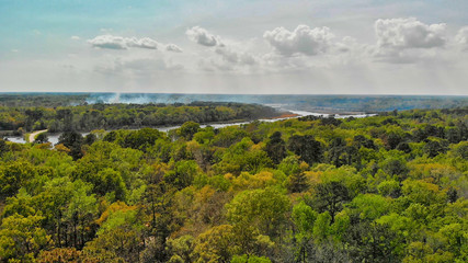 South Carolina Countryside and Forest. Aerial view of trees