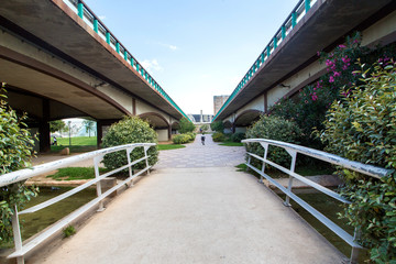 Fototapeta premium View of turia gardens situated in the spanish city Valencia. Valencia, Spain. Beautiful park in Europe