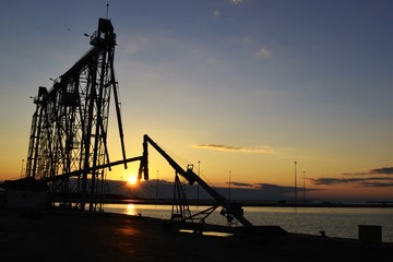 silhouette of cranes at sunset