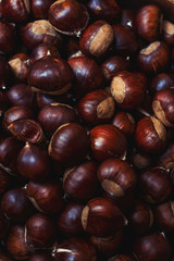 Sweet Chestnut background