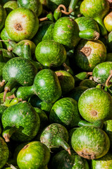Flaschenkürbis, Kürbis, Zierkürbis, Dekoration, Herbst, Schweiz