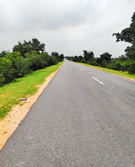 Fototapeta premium Beautiful asphalt road with green trees