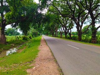 Beautiful asphalt road with green trees