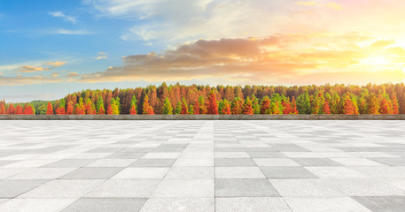 Empty square floor and beautiful colorful forest in autumn