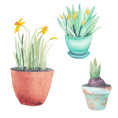 Watercolor spring gardening set. Hand drawn flower pots isolated on white background. Artistic objects collection