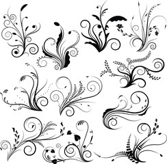 Vector set with eleven floral elements. Floral vector set.