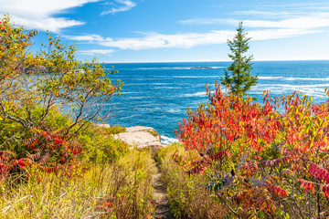 Acadia National Park aerial view in foliage season. Lake and tree colors