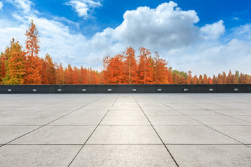 Empty square floor and beautiful colorful forest in autumn
