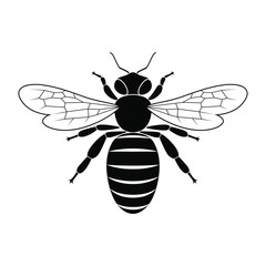 Bee graphic icon. Sign bee isolated on white background. Symbol of beekeeping. Vector illustration
