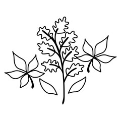 autumn branches with leafs isolated icon vector illustration design