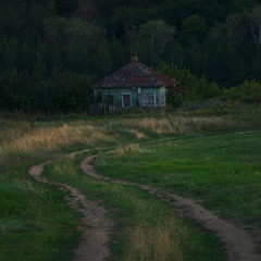 Fototapeta na wymiar Old creepy abandoned house among a pine forest
