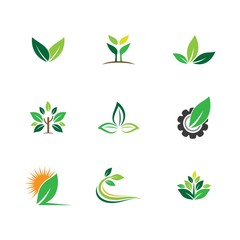 Fototapeta na wymiar Leaf symbol vector icon