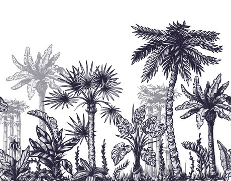 Seamless border with graphic tropical trees such as palm, banana, monstera for interior design. Vector