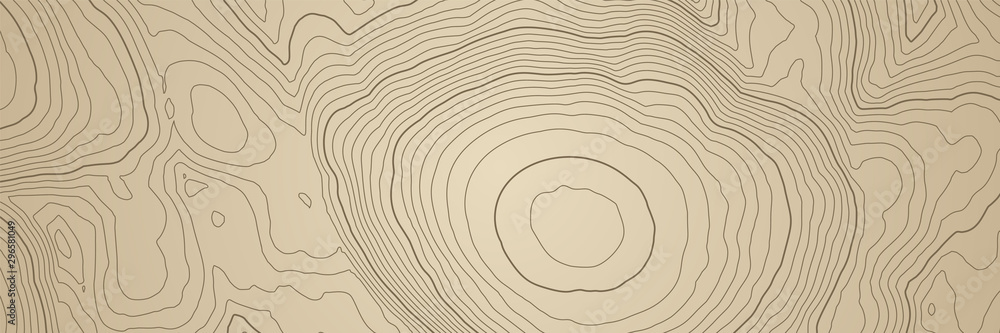 Fototapete Abstract topographic map background with height lines