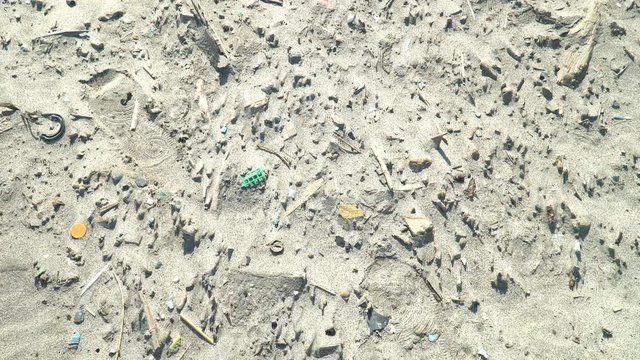 海岸線のプラスチックゴミ（環境問題）