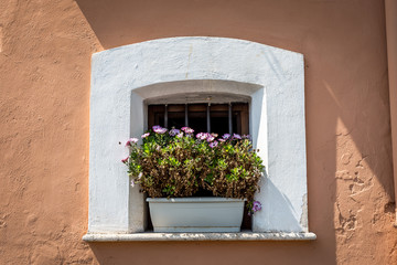 Beautiful window decorated with flowers in Isola del liri, Frosinone, Italy