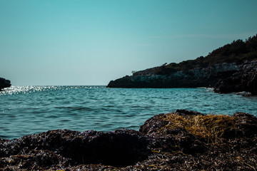 Fototapeta na wymiar Posidonia seaweed Sea