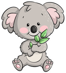 Niedlicher essender Koala - Vektor-Illustration