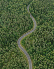 Curve road through a forest. Aerial view.