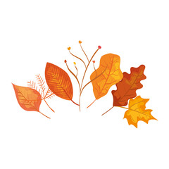 autumn leafs with branches isolated icon vector illustration design