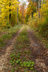 Russberg im Herbst _Deutschland 