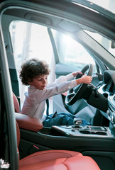 Obraz premium Child observing and testing new car in dealership. Little boy sitting on driver's seats, car cabin. Little boy holding hands on steering wheel, smiling.