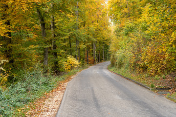Obraz premium Russberg im Herbst _Deutschland 