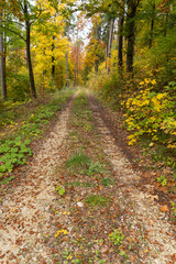 Russberg im Herbst _Deutschland 