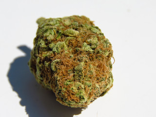 Closeup of medical cannabis bud. Marijuana bud on white background. 