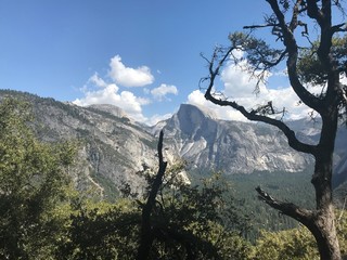 Wunderbarer Blick durch die Bäume auf den Half Dome.