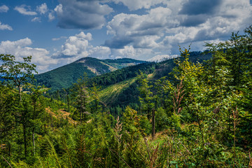 Fototapeta na wymiar View of mountain at sunny summer day. Beskid Zywiecki, Poland.