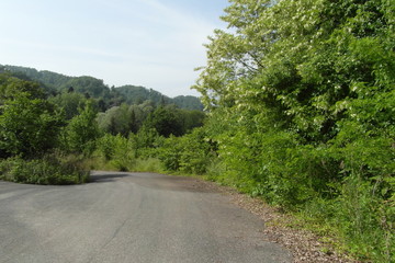 Abkhazia is a beautiful territory on Black sea
