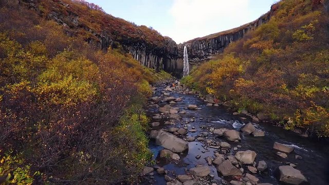 Svartifoss waterfall in Skaftafell National Park, Iceland.