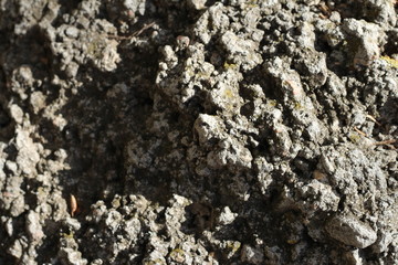 the texture of the stone relief, gray