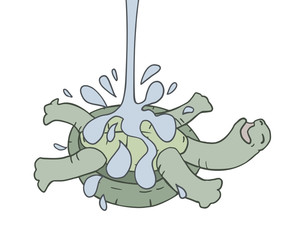 turtle cooling in water