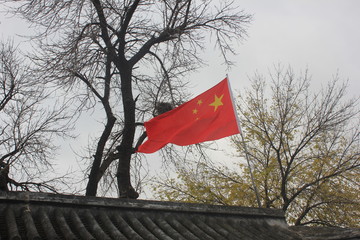 flag in park