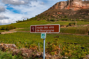 Obraz premium wine route arrow, Burgundy (Bourgogne), France