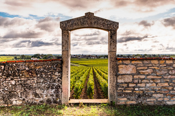 beautiful scenic autumn landscape of Bourgogne Clos de la Pucelle grand cru vineyard, old fence...